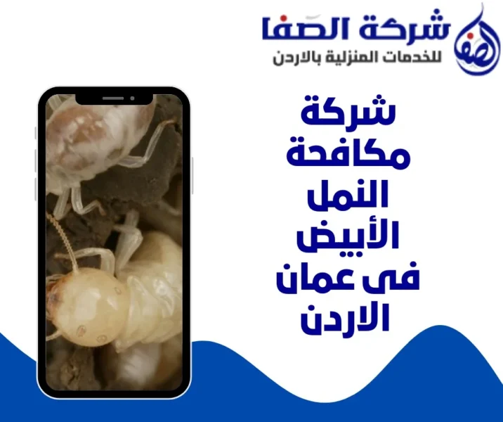 شركة مكافحة النمل الأبيض فى عمان الاردن  0789832388 الصفا