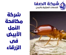 شركة مكافحة النمل الأبيض فى الزرقاء 0789832388 شركة الصفا