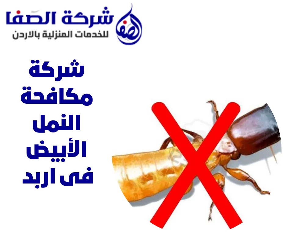 شركة مكافحة النمل الأبيض فى اربد