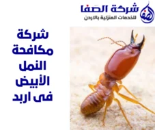شركة مكافحة النمل الأبيض فى اربد 0789832388 شركة الصفا