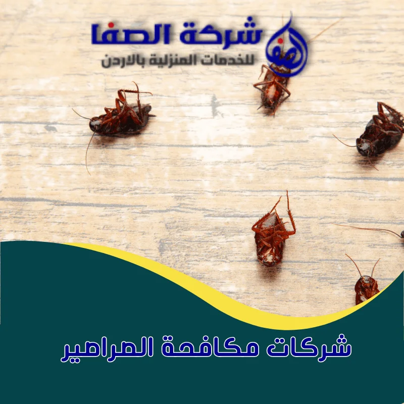 افضل شركات مكافحة الصراصير عمان