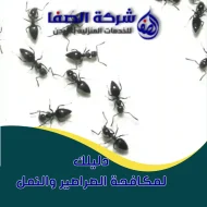 دليل مكافحة الصراصير والنمل وطرق الوقاية 0789832388 احم بيتك