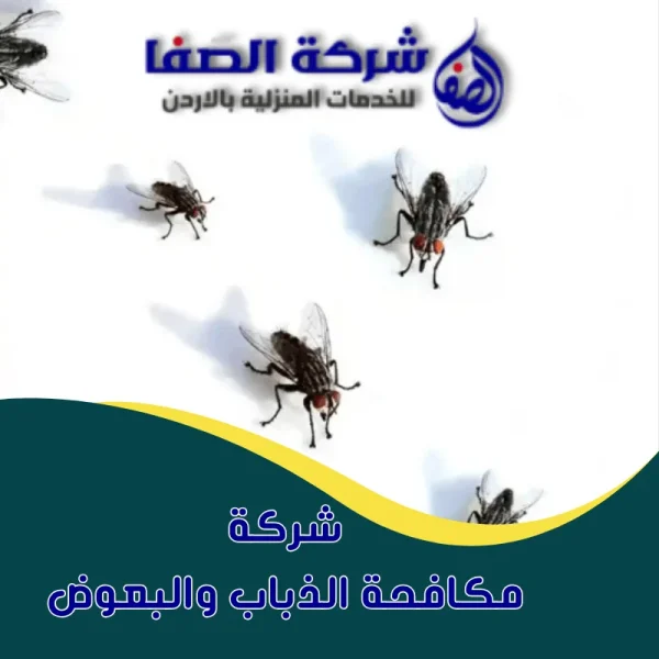شركة مكافحة الذباب والبعوض عمان 0789832388 شركة الصفا