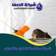 شركة مكافحة الفئران والقوارض في عمان 0789832388 شركة الصفا