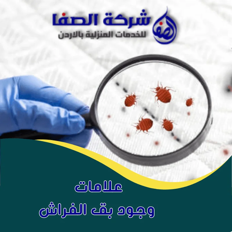 علامات وجود بق الفراش في المنزل وكيف تحمي اسرتك