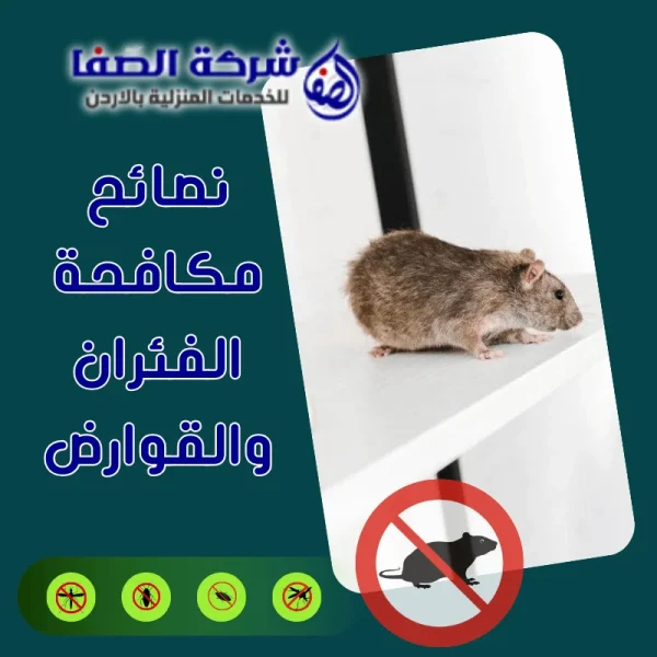 نصائح مكافحة الفئران والقوارض لحماية منزلك 0789832388 شركة الصفا